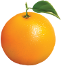 orange-rb تور مجازی فست فود چمران (بولینگ عبدو)